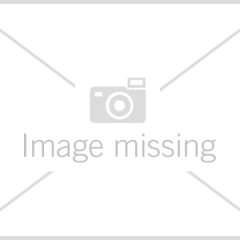 Homepage-Titelbild-1.jpg
